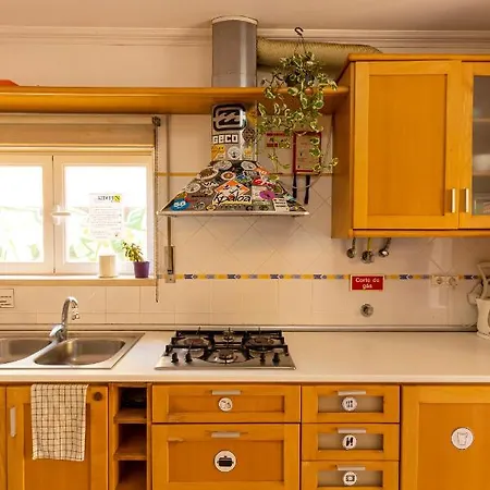 Pineapple Surf House