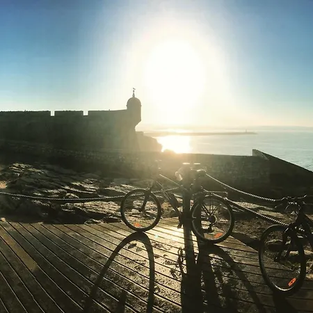 Pineapple Surf House 호스텔