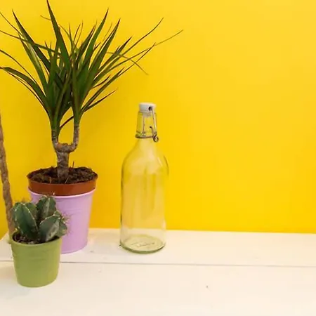 호스텔 Pineapple Surf House *