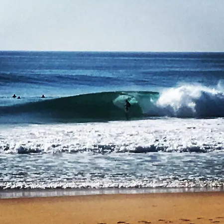 호스텔 Pineapple Surf House *