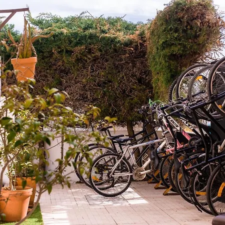 Hostel Pineapple Surf House *