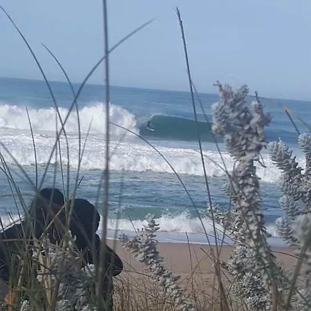 Pineapple Surf House *